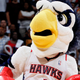 Harry the Hawk, mascot of the Atlanta Hawks, during a game against the Chicago Bulls on May 8, 2011, in Atlanta